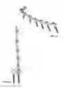 Fig. 06 - ILIAC CONNECTOR, CONNECTOR HEAD, SPINAL FIXATION SYSTEM AND METHOD OF STABILIZING A SPINE