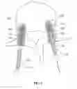 Fig. 04 - Screw fixing apparatus
