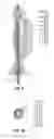 Fig. 06 - Electrosurgical devices with directional radiation pattern
