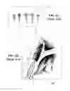 Fig. 05 - Dental screwdriver