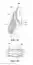 Fig. 09 - ORTHODONTIC ASSEMBLY