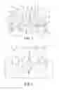 Fig. 06 - Dental Framework