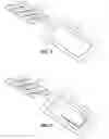 Fig. 05 - INTERCONNECTED DENTAL FLOSSERS