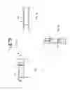 Fig. 14 - Methods of self-aligning stent grafts