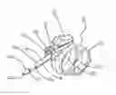 Fig. 01 - Surgical introducer