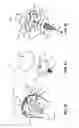 Fig. 19 - System and method for repairing articular surfaces