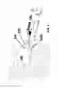 Fig. 04 - Insertion tool for implant and methods of use