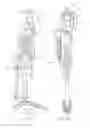Fig. 10 - Coordinating operation of multiple lower limb devices