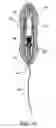 Fig. 08 - Devices and methods for pelvic organ prolapse alleviation