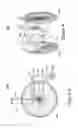 Fig. 03 - Adjustable wheelchair