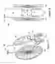 Fig. 05 - Adjustable wheelchair