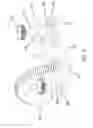 Fig. 08 - Range of motion device