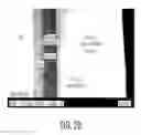 Fig. 14 - Trilayer coated pharmaceutical packaging