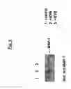 Fig. 04 - METHODS OF INHIBITING, PROTECTING AGAINST, OR TREATING UVR-INDUCED SKIN DAMAGE