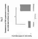 Fig. 29 - METHODS OF INHIBITING, PROTECTING AGAINST, OR TREATING UVR-INDUCED SKIN DAMAGE