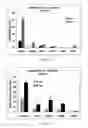 Fig. 16 - SURFACE TOPOGRAPHIES FOR NON-TOXIC BIOADHESION CONTROL