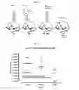 Fig. 02 - TOPICAL NANOEMULSION THERAPY FOR WOUNDS
