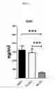 Fig. 05 - TOPICAL NANOEMULSION THERAPY FOR WOUNDS