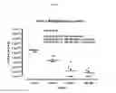Fig. 06 - TOPICAL NANOEMULSION THERAPY FOR WOUNDS