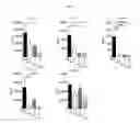 Fig. 07 - TOPICAL NANOEMULSION THERAPY FOR WOUNDS