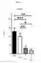 Fig. 08 - TOPICAL NANOEMULSION THERAPY FOR WOUNDS