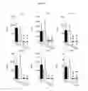 Fig. 11 - TOPICAL NANOEMULSION THERAPY FOR WOUNDS