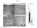 Fig. 12 - TOPICAL NANOEMULSION THERAPY FOR WOUNDS