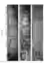 Fig. 22 - TOPICAL NANOEMULSION THERAPY FOR WOUNDS
