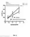 Fig. 07 - Fluoropolymer emulsions with perhalogenated stabilizer for the delivery of hydrophobic drugs