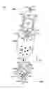 Fig. 01 - Formulations and methods for contemporaneous stabilization of active proteins during spray drying and storage
