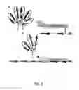 Fig. 10 - Formulations and methods for contemporaneous stabilization of active proteins during spray drying and storage