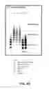 Fig. 15 - Formulations and methods for contemporaneous stabilization of active proteins during spray drying and storage