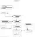 Fig. 03 - Pharmaceutical composition and administrations thereof