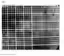 Fig. 02 - Crosslinked particles