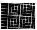 Fig. 04 - Crosslinked particles