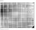 Fig. 06 - Crosslinked particles