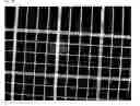 Fig. 08 - Crosslinked particles