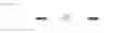 Fig. 10 - Crosslinked particles