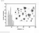 Fig. 19 - Crosslinked particles