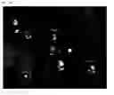 Fig. 34 - Crosslinked particles