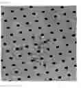 Fig. 48 - Crosslinked particles