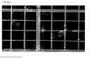 Fig. 49 - Crosslinked particles