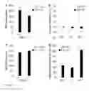 Fig. 03 - COMPOSITIONS AND METHODS THAT TARGET OLFACTORY RECEPTORS FOR REGULATION OF BREATHING