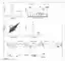 Fig. 07 - COMPOSITIONS AND METHODS THAT TARGET OLFACTORY RECEPTORS FOR REGULATION OF BREATHING