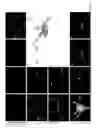 Fig. 08 - COMPOSITIONS AND METHODS THAT TARGET OLFACTORY RECEPTORS FOR REGULATION OF BREATHING