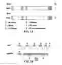 Fig. 06 - Compositions and methods for treating kabuki syndrome and related disorders