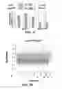 Fig. 07 - Compositions and methods for treating kabuki syndrome and related disorders