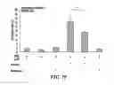 Fig. 28 - Compositions and methods for treating kabuki syndrome and related disorders
