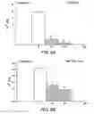 Fig. 07 - Method for treating prostate cancer and/or gastrointestinal cancer