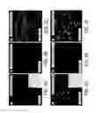 Fig. 03 - Compositions and methods for cancer therapy